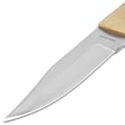 Timber Rattler Tumbleweed Skinner Knife