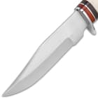 Timber Wolf Appalachian Ivory Bowie / Fixed Blade Knife - Stainless Steel - Natural Genuine Bone - Red, Black Pakkawood - Genuine Leather Sheath - Outdoors Display Hunting Camping Collecting - 9 3/4"
