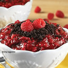 Mountain House Raspberry Crumble Pouch 4 Servings