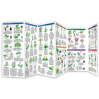 Edible Wild Plants Folding Pocket Guide