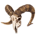 Bighorn Sheep Ram Skull Replica - Life Sized, Authentic Anatomical Details - Cold Cast Polyresin - Large Curled Horns - Home Decor, Collectible, Teaching Tool - 16 1/8" W x 11 4/5" H x 8 1/4" D 