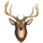 12-Point Buck / Deer Head Reproduction Wall Sculpture on Faux Wood Plaque