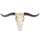 Longhorn Bull / Steer Skull - Polyresin Wall Ornament / Plaque Sculpture - Flat Back, Mounting Hook - Authentic Detailing, Realistic Weathering - 10" Horn Span