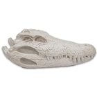 Swamp Monster Alligator Skull