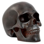 Rusted Skull