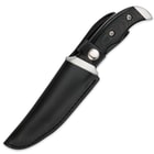 Boker Magnum Capital Fixed Blade Recurve Knife With Micarta Handle