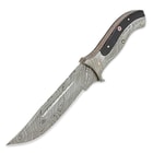 Timber Wolf Damascus Steel Fixed Blade Buffalo Horn Bowie Knife