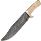 Timber Wolf Damascus & Camel Bone Fixed Blade Clip Point Bowie Knife