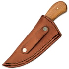 Timber Wolf MillenniaWood Damascus Skinner Knife with Leather Sheath