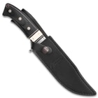Timber Wolf Snake River Hunter Fixed Blade Knife And Sheath - Stainless Steel Blade, Bone And Pakkawood Handle, Rosette Accents - Length 11”