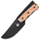 Timber Wolf Zebra Wood Fixed Blade Knife And Sheath - Stainless Steel Blade, Full Tang, Zebra Wood Handle - Length 8”