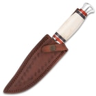Timber Wolf Appalachian Ivory Bowie / Fixed Blade Knife - Stainless Steel - Natural Genuine Bone - Red, Black Pakkawood - Genuine Leather Sheath - Outdoors Display Hunting Camping Collecting - 9 3/4"