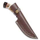 Timber Wolf Buckhorn Hunting Knife - Damascus Steel Fixed Blade Trailing Point - Staghorn Deer Antler Buffalo Horn Handle - Leather Sheath - Skinning, Slicing, Field Dressing, Game, Hunter, Outdoors