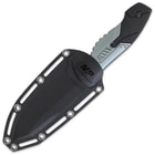 Smith & Wesson M&P Full Tang Fixed Blade Knife with M.O.L.L.E. Compatible Thermoplastic Sheath