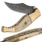 Timber Wolf Eastern Echo Damascus Steel & Camel Bone Folding Pocket Knife