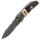 Timber Wolf Damascus & Stag Horn Folding Pocket Knife