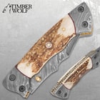 Timber Wolf Damascus And Stag Horn Pocket Knife - Damascus Steel Blade, Stag Horn Handle, File Worked Brass Liners - Closed 4 1/2”