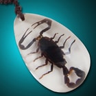 Real Scorpion Necklace Clear Lucite Pendant