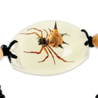 Real Spiny Spider Bracelet Golden Lucite Pendant