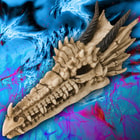 Fantasy Décor Resin Dragon Skull Wall Mountable