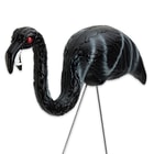 Zombie Flamingos - Comes In A Pair