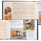 Pocket Guide To Wild Mushrooms