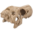 Tyrannosaurus Rex Replica Skull