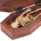 Wooden Coffin And Skeleton