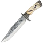 Soaring Eagle Fixed Blade Knife with Display Box