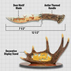 This image shows the dimensions of the Deer Bowie Knife.