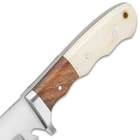 Detailed view of the knife’s handle scales crafted of natural bone and rich walnut wood, secured to the tang with stainless steel pins.