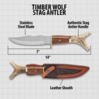 “Timber Wolf Stag Antler” text above imagery of the knife with 7” stainless steel blade, stag antler handle, and leather sheath.