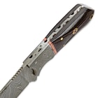 Timber Wolf Mosaic Micarta & Damascus Fixed Blade Hunting Knife