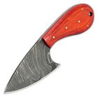Timber Wolf Orange Pakkawood & Damascus Steel Fixed Blade Skinner Knife