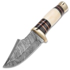 Timber Wolf Foxclaw Skinner - Damascus Steel Fixed Blade with Scalloping - Genuine Bone, Pakkwood Handle - Brass Spacers, Guard, Pommel - Leather Sheath - Skinning, Camping, Hunting, Outdoors