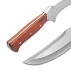 The machete has a full fang stainless steel construction with wooden handle grips.