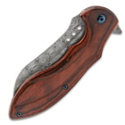 The pocket knife shown in the closed position