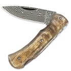 Timber Wolf Legacy Ram Folding Knife