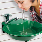 2 In 1 Water Fountain And Faucet