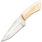 Timber Wolf Aleutian Knife With Sheath - Stainless Steel Blade, Bone Handle, Stainless Steel Pins - Length 7 3/4”
