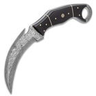 The 4 1/2" full-tang curved Damascus steel blade has a gut hook and razor-sharp edge in a penetrating point.