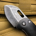 MTech Blackwood Compact Pocket Palm Knife - 3Cr13 Steel Stonewashed Blade, Wooden Handle, Pocket Clip