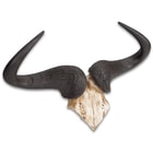 Faux Wildebeest Horns on Mount - Realistic, Durable Polyresin Construction