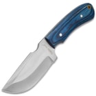 Timber Wolf Blue Elijah Carbon Steel Skinner Knife with Leather Sheath