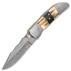 Timber Wolf Damascus And Stag Horn File Worked Pocket Knife - Damascus Steel Blade And Bolsters, Genuine Stag Horn Handle, Brass Accents