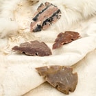 Multi-Notched Native Arrowheads - Four-Pack