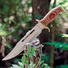 Bowie knife with wood handle on tree stump outdoors