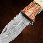 The leather knife case