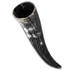 The size of the horn varies as it is from an actual buffalo