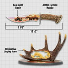 This shot shows the dimensions of the knife.